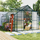 12 x 8 Greenhouse in a garden with plants and a ladder