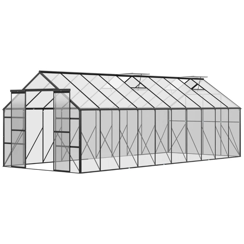 20' x 8' Large Walk-in Greenhouse with Polycarbonate Panels, Aluminum Frame, Double Door - Black