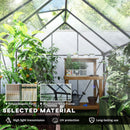 6' x 8' Walk-In Greenhouse with Aluminum Frame and Polycarbonate Panels, Sliding Door - Grey