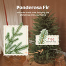 5ft Artificial Christmas Tree with Dense Ponderosa Fir Realistic Branches, Easy Assembly
