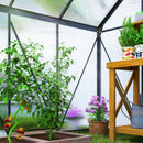 6' x 6' Walk-In Greenhouse with Aluminum Frame and Polycarbonate Panels, Sliding Door - Grey