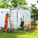 Small backyard  greenhouse in a garden with plants and a ladder