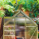 Small greenhouse with plants in a garden setting