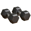 Set of Two 30lb Rubberized Hexagon Dumbbell Weights (60 lbs Total) - Seasonal Overstock