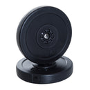 4pc 66 lb Weight Plates Set (2 x 11lbs and 2 x 22lbs) - Seasonal Overstock