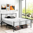Graham Queen Size Metal Platform Bed - Seasonal Overstock