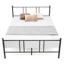 Graham Queen Size Metal Platform Bed - Seasonal Overstock