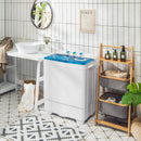 Laundry Machine, 26lbs Portable Semi-Automatic Twin Tub Washing Machine with Drain Pump - Seasonal Overstock