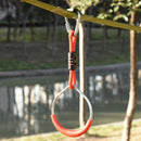 Kids Sports, Kids Ninja Warrior Backyard Swing & Climb Set - Seasonal Overstock