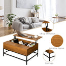 Ranoki Teak Brown Lift Top Coffee Table - Seasonal Overstock