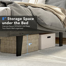 Valentina Queen Grey Upholstered Platform Bed - Seasonal Overstock