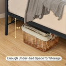 Alexis Full Size Metal Platform Bed - Seasonal Overstock