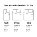 Ascan Queen Size 3-Pc All Season Blue / White Comforter Set - Seasonal Overstock