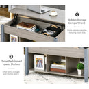 Coffee Tables, Bryan Lift Top Coffee Table with 3 Storage Compartments - Grey - Seasonal Overstock