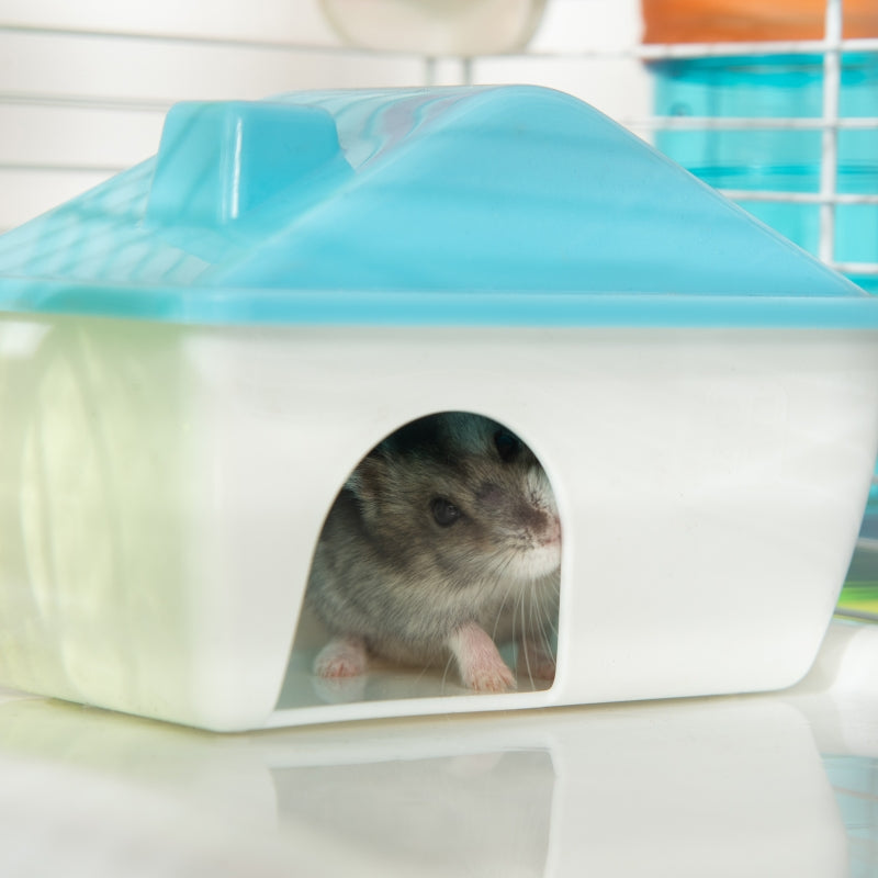 Large Hamster Cage Kit with Exercise Wheel & Tube - White - Seasonal Overstock