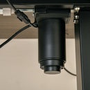 Rohan Adjustable Height Standing Desk in Teak and Black - Seasonal Overstock