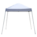 Canopy Tents, 8.2 x 8.2ft Easy Pop Up Canopy Tent W/ Slanted Legs - Seasonal Overstock