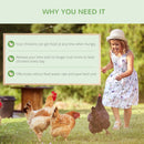 Step Control Automatic Chicken Feeder up to 10.6lbs Food Storage