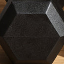 Set of Two 25lb Rubberized Hexagon Dumbbell Weights (50 lbs Total) - Seasonal Overstock