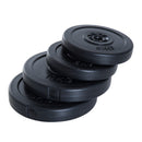 4pc 66 lb Weight Plates Set (2 x 11lbs and 2 x 22lbs) - Seasonal Overstock