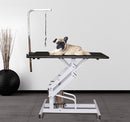42" x 24" Adjustable Deluxe Pet Grooming Table - Seasonal Overstock