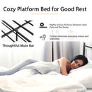 Graham Queen Size Metal Platform Bed - Seasonal Overstock