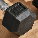 Set of Two 15lb Rubberized Hexagon Dumbbell Weights (30 lbs Total) - Seasonal Overstock
