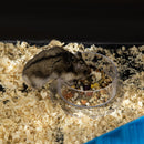 Large Hamster Cage Kit with Exercise Wheel & Tube - Black - Seasonal Overstock