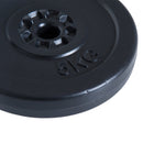 4pc 66 lb Weight Plates Set (2 x 11lbs and 2 x 22lbs) - Seasonal Overstock