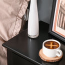 Selina Black Accent End Table with Drawer - Seasonal Overstock