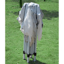 Canopy Tents, 10' x 10' Pop-Up Canopy Tent - Seasonal Overstock