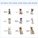 9.8' x 9.8' Large Dog House Kennel Pen with Canopy Shade - Seasonal Overstock