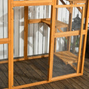Large Outdoor Catio Cat Enclosure and Balance Platforms in Natural - Seasonal Overstock