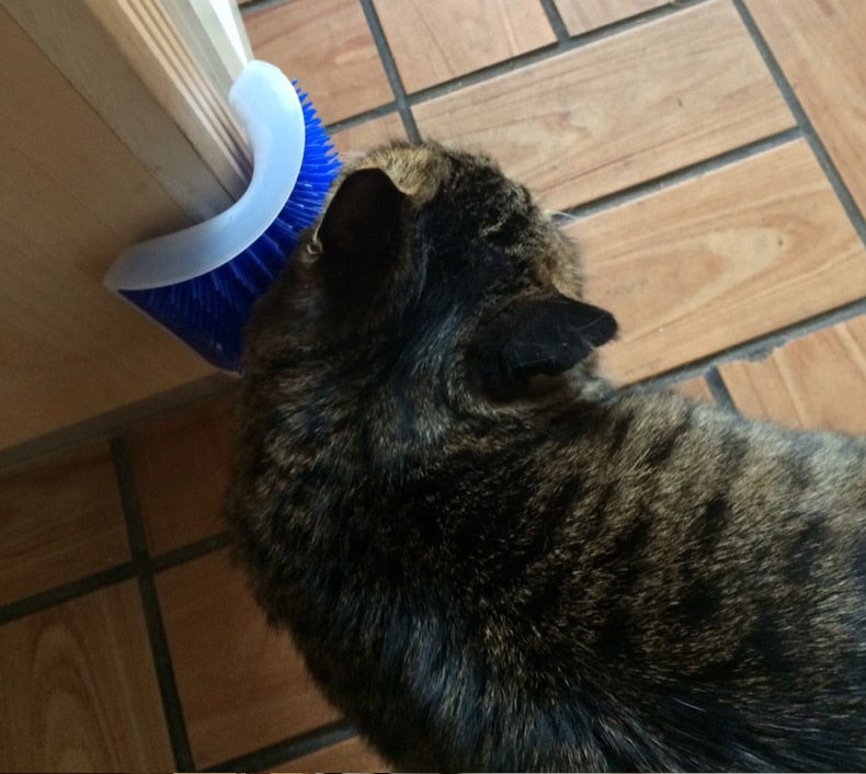 Self Grooming Brush for Cats with Catnip - Seasonal Overstock