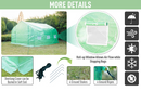 Greenhouses, 11.5 x 10ft Soft-Cover Greenhouse in Green - Seasonal Overstock